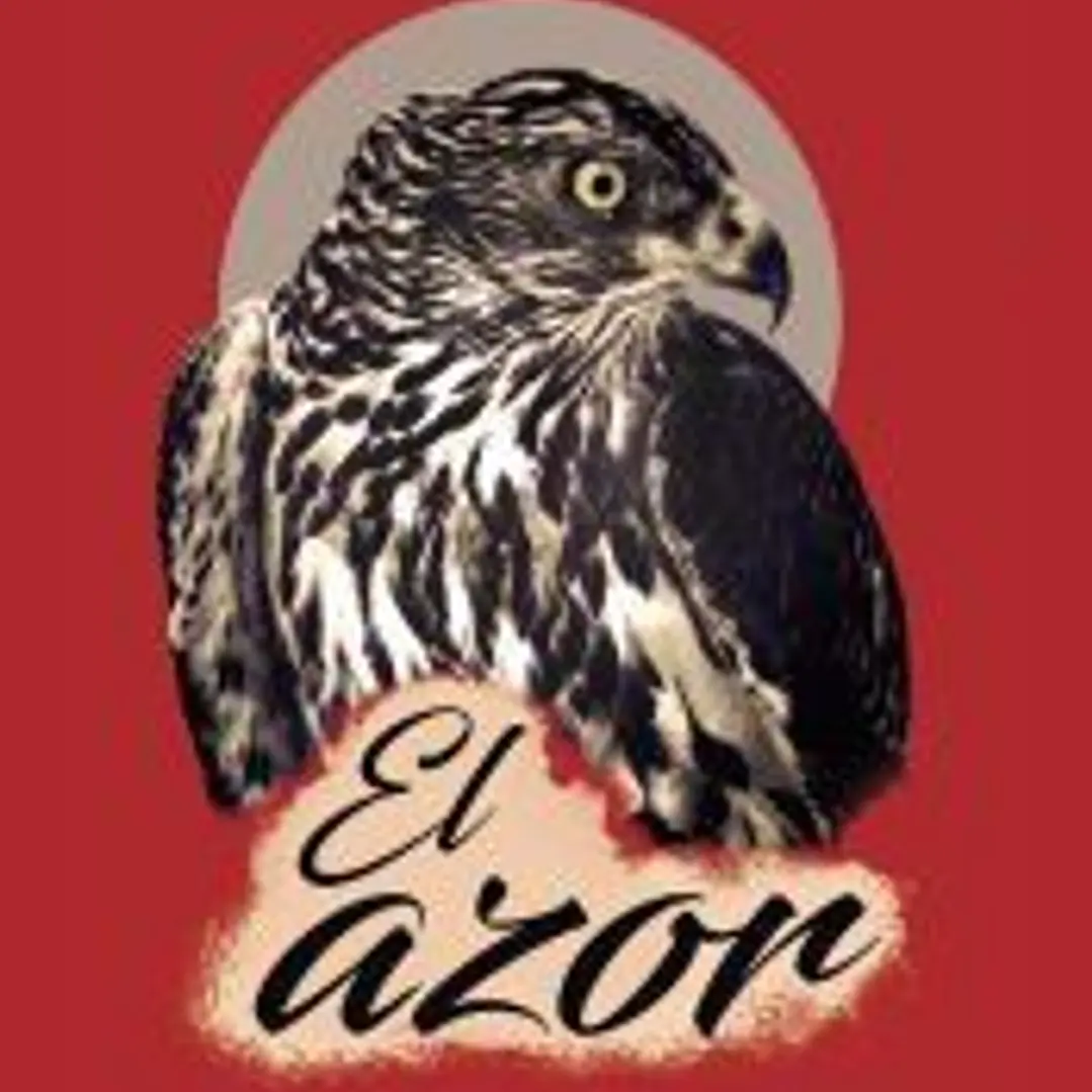 El azor 1