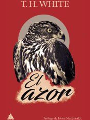 El azor