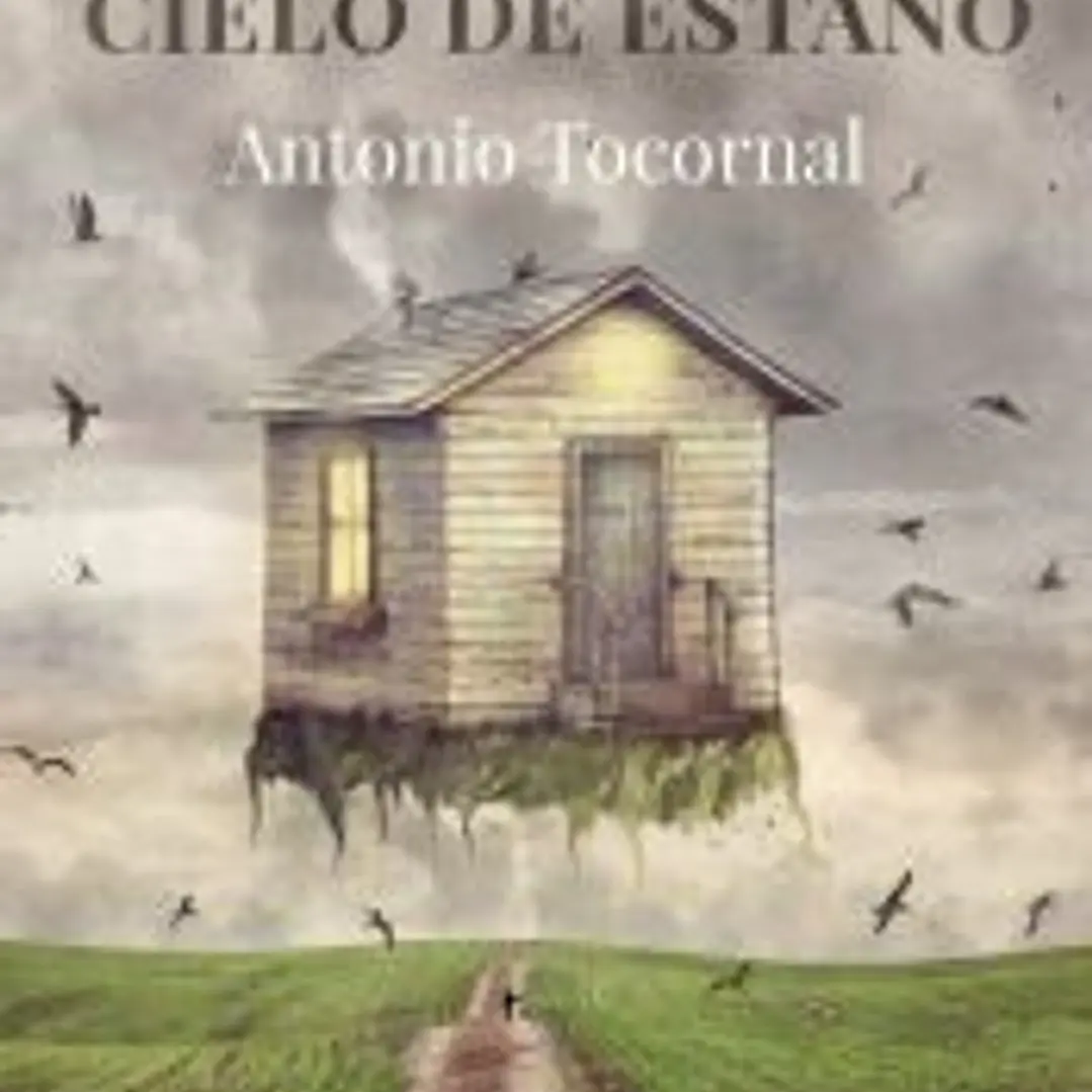 Pájaros en un cielo de estaño 1