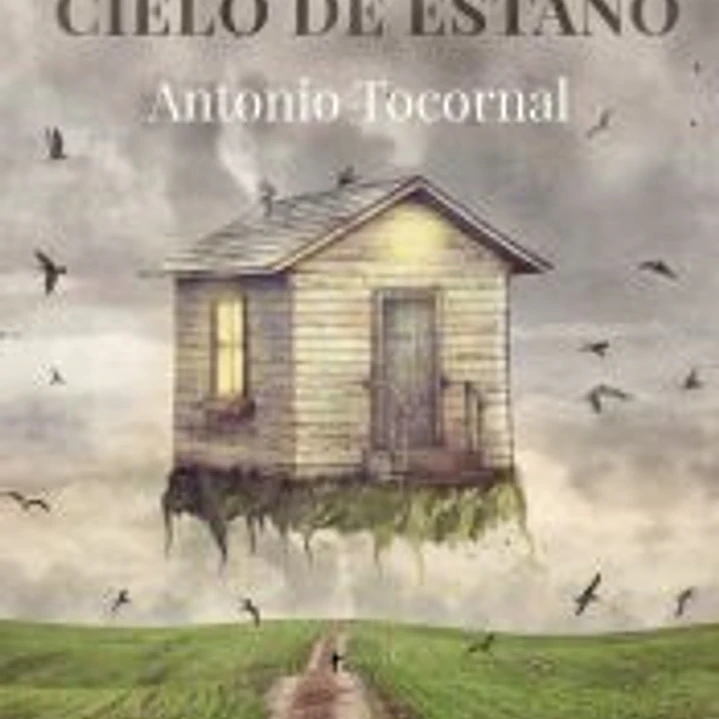 Pájaros en un cielo de estaño 1