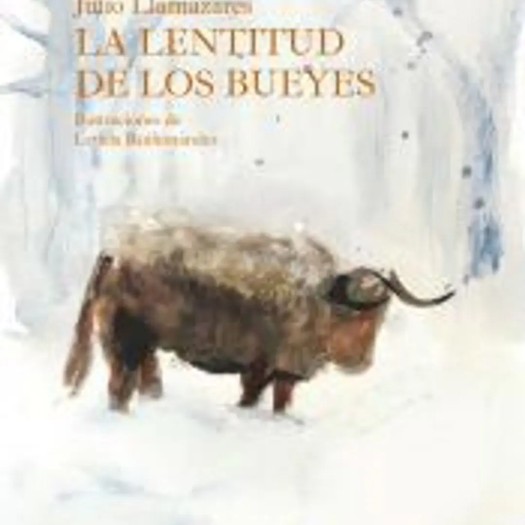 La lentitud de los bueyes 1