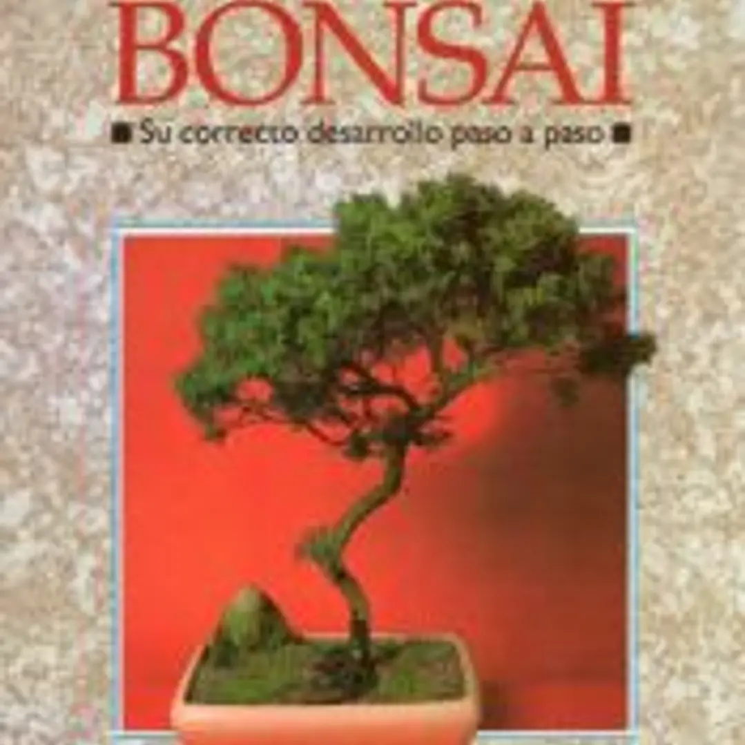 BONSÁI 1