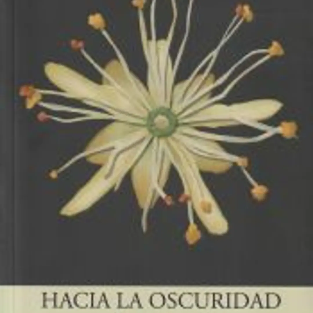 Hacia la oscuridad 1