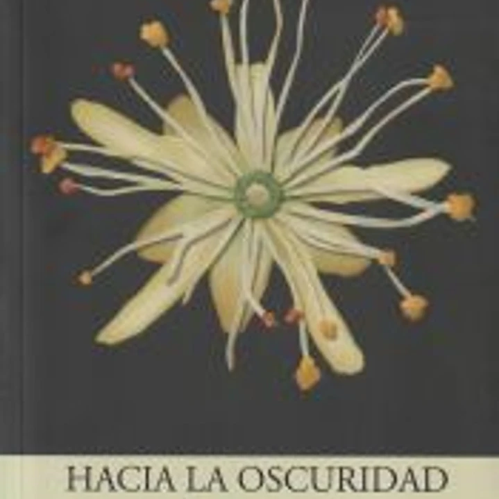 Hacia la oscuridad 1