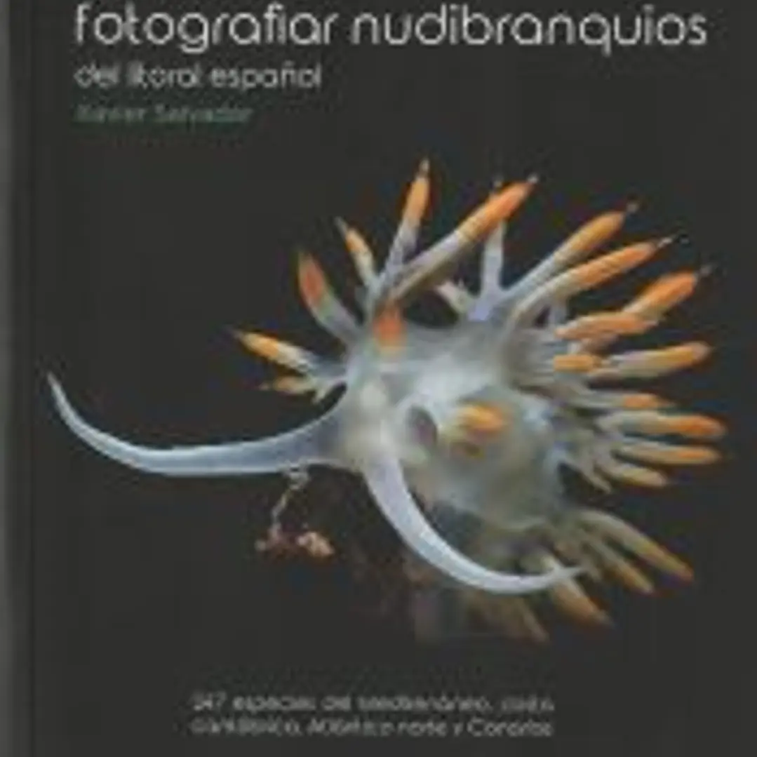 Guía práctica para fotografiar nudibranquios del litoral español 1