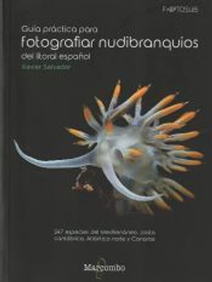 Guía práctica para fotografiar nudibranquios del litoral español
