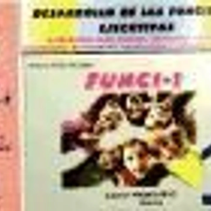 Funci-1: Desarrollo de las funciones ejecutivas 1