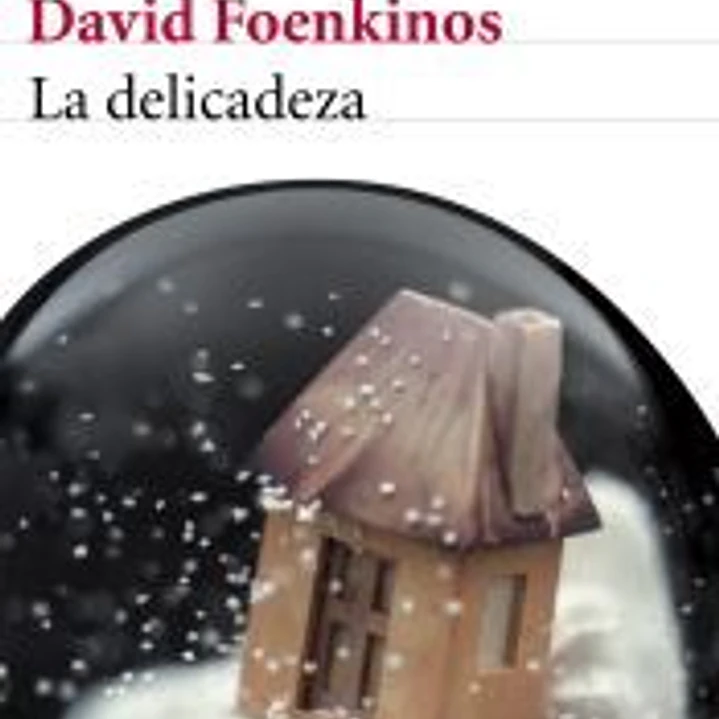La delicadeza 1
