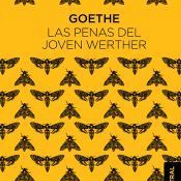 Las penas del joven Werther 1