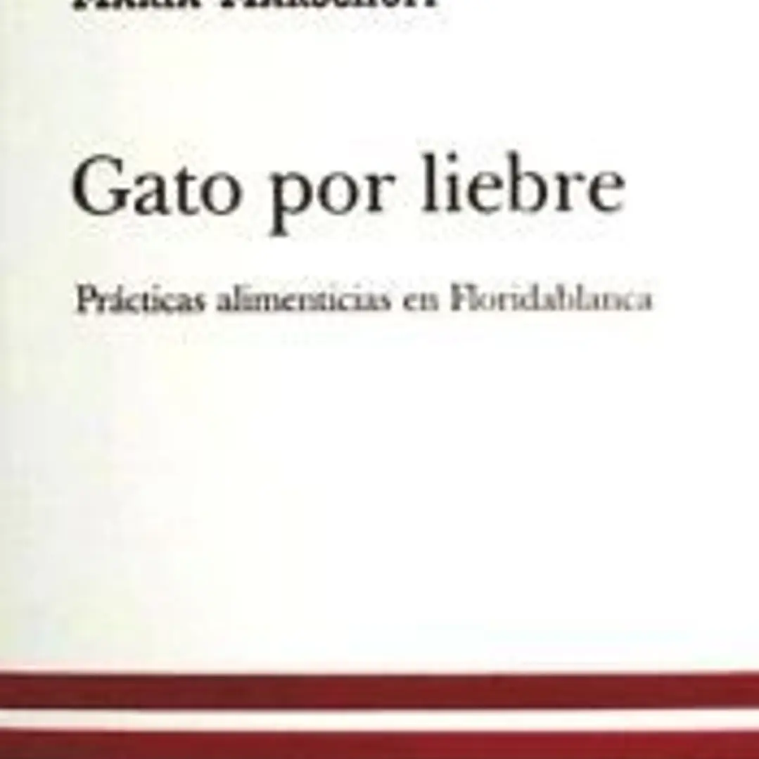 GATO POR LIEBRE 1
