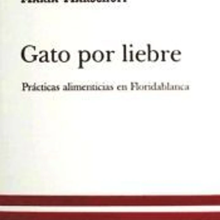 GATO POR LIEBRE 1