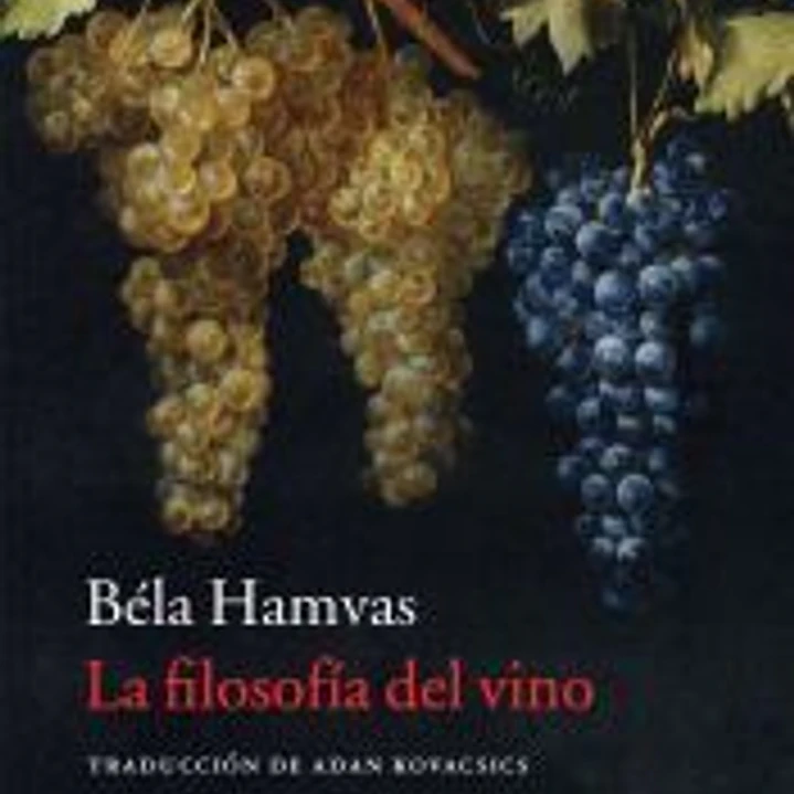 La filosofía del vino 1