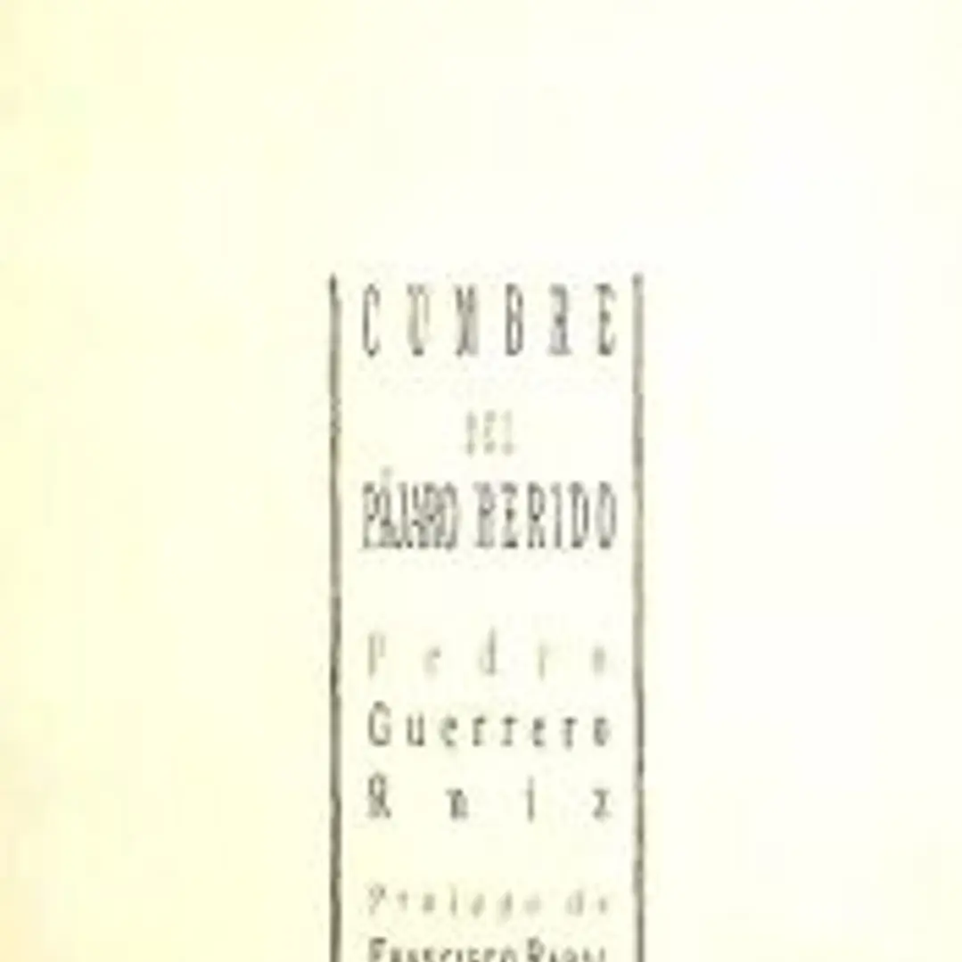 Cumbre del pájaro herido 1