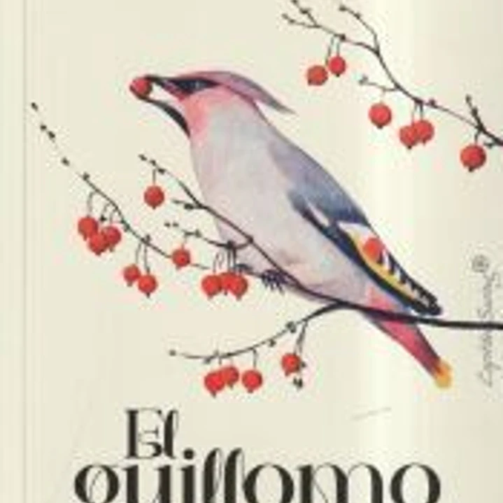 El Guillomo 1