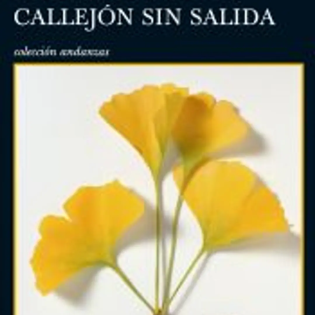 Recuerdos de un callejón sin salida 1