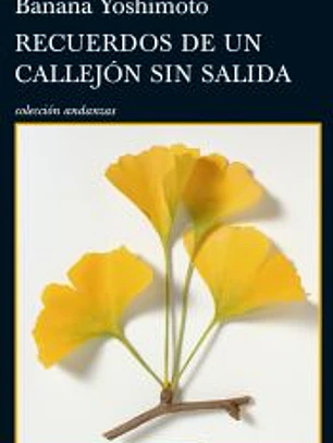 Recuerdos de un callejón sin salida