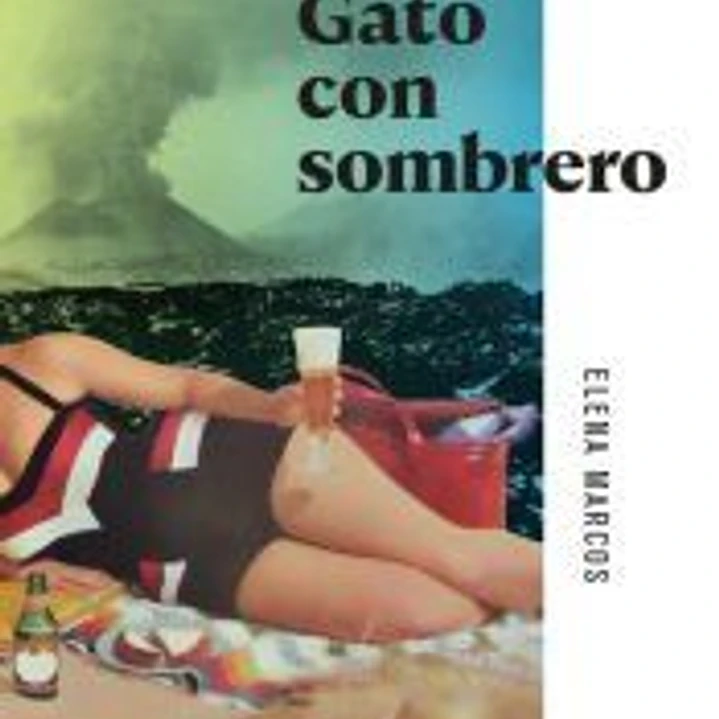 Gato con sombrero 1