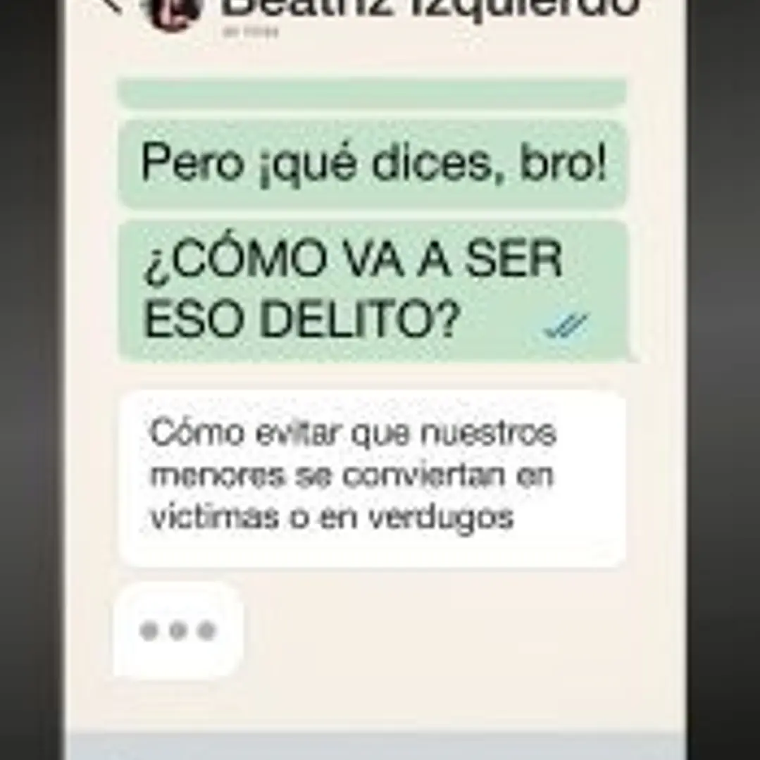 Pero ¡que dices Bro! ¿Cómo va a ser eso delito?: Cómo evitar que nuestros menores se conviertan en víctimas o en verdugos 1