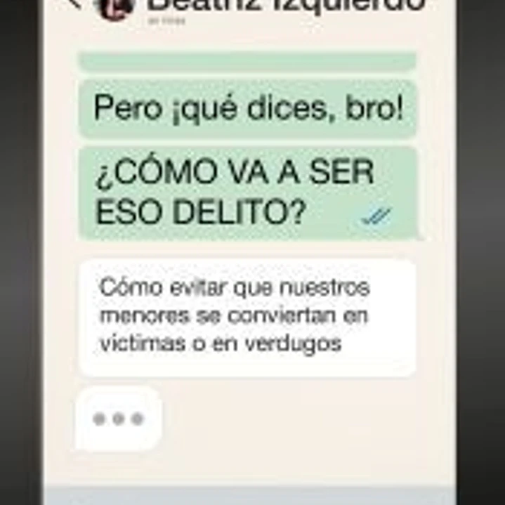 Pero ¡que dices Bro! ¿Cómo va a ser eso delito?: Cómo evitar que nuestros menores se conviertan en víctimas o en verdugos 1