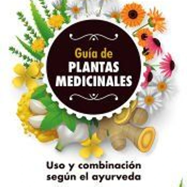 Guía de las plantas medicinales 1