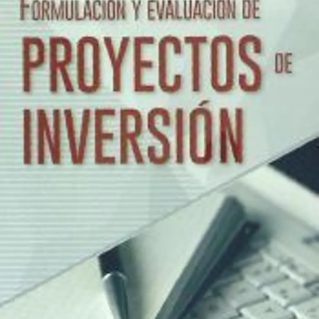 Formulación y Evaluación de Proyectos de Inversión 1