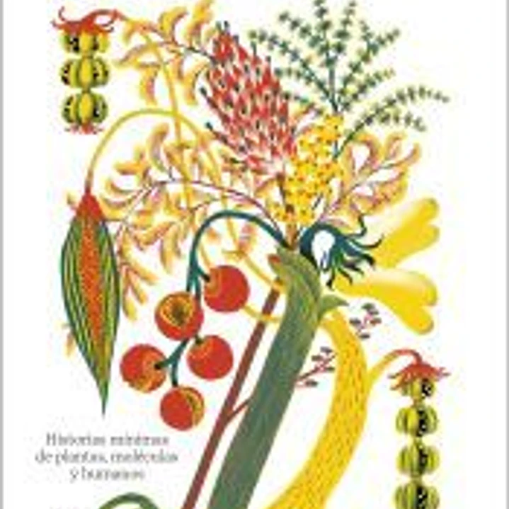 Los secretos de flora 1