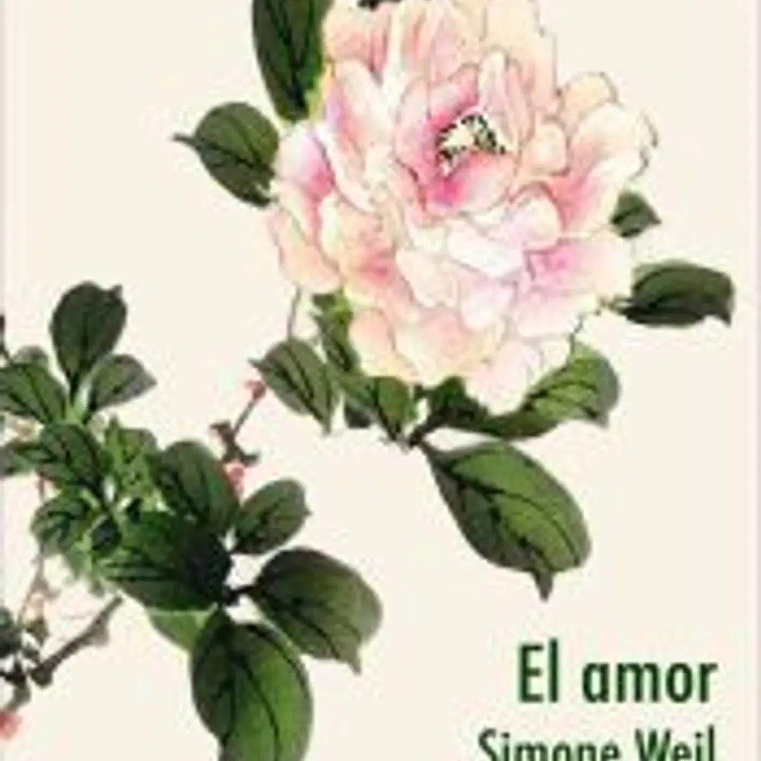 Amor 1