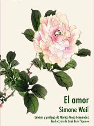 Amor