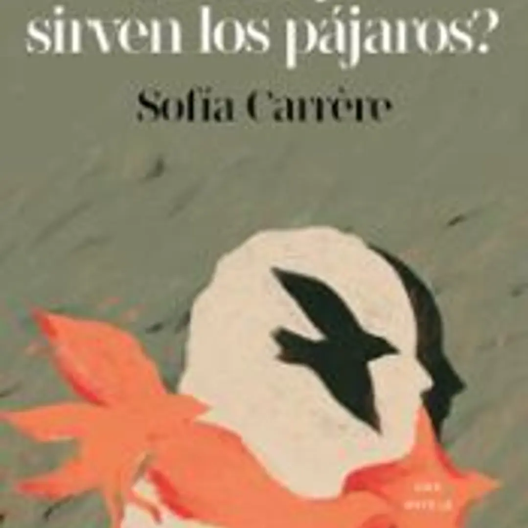 ¿Para qué sirven los pájaros? 1