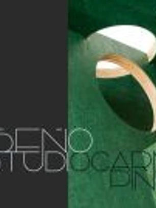 DISEÑO ESTUDIO CARME PINOS