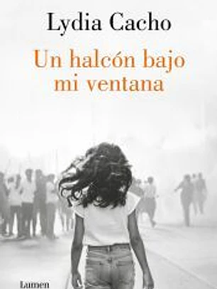 Un halcón bajo mi ventana