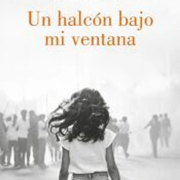 Un halcón bajo mi ventana 1