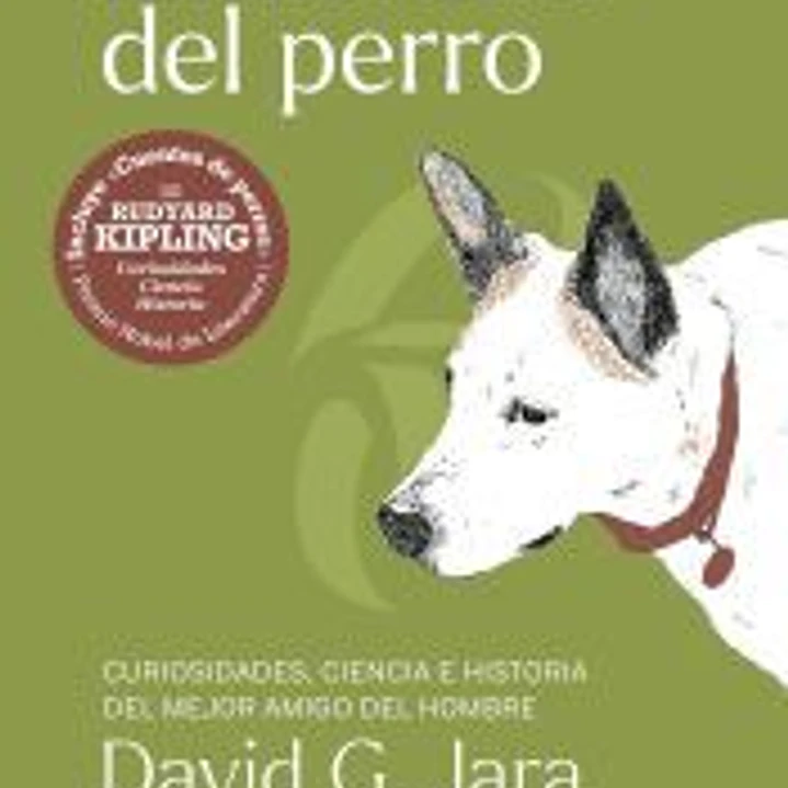 La mirada del perro 1