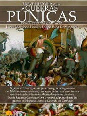 Breve historia de la Guerra Púnicas