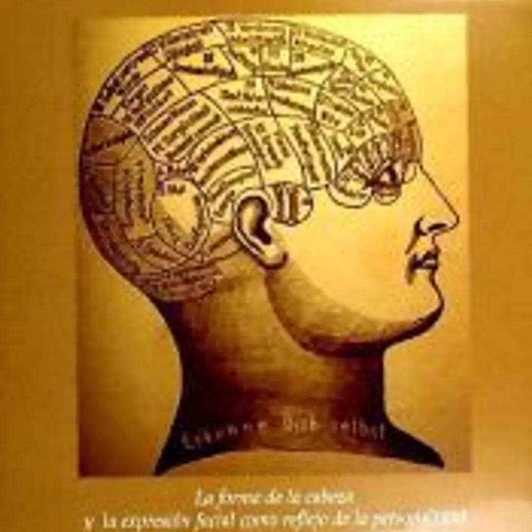 Frenología y fisonomía 1