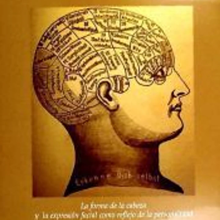 Frenología y fisonomía 1