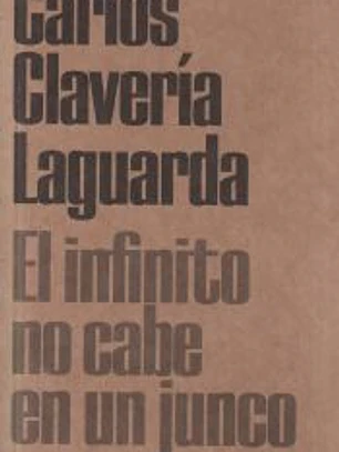 El infinito no cabe en un junco