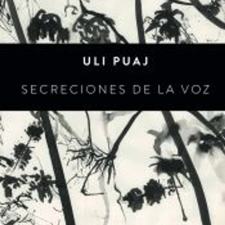 Secreciones de la voz 1