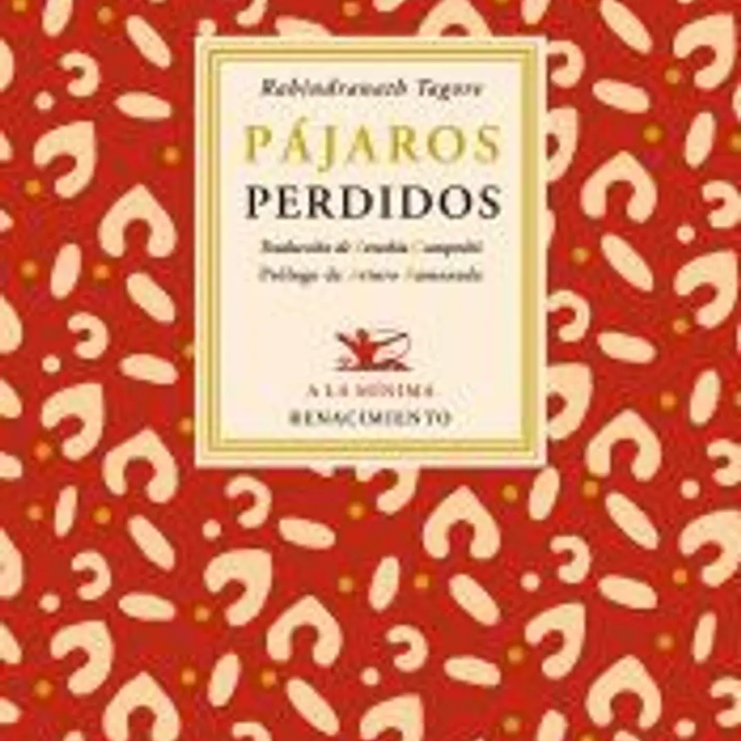 PAJAROS PERDIDOS 1