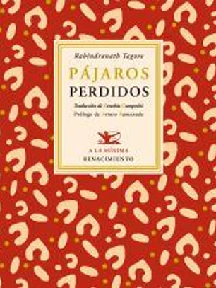 PAJAROS PERDIDOS