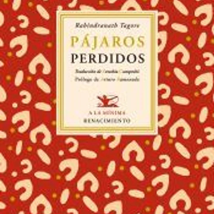 PAJAROS PERDIDOS 1