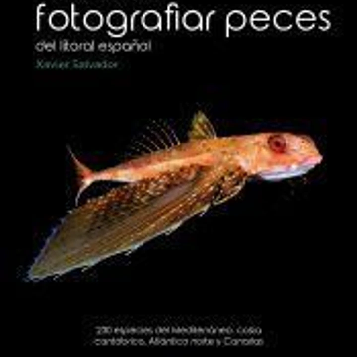 Guía práctica para fotografías peces del litoral español 1