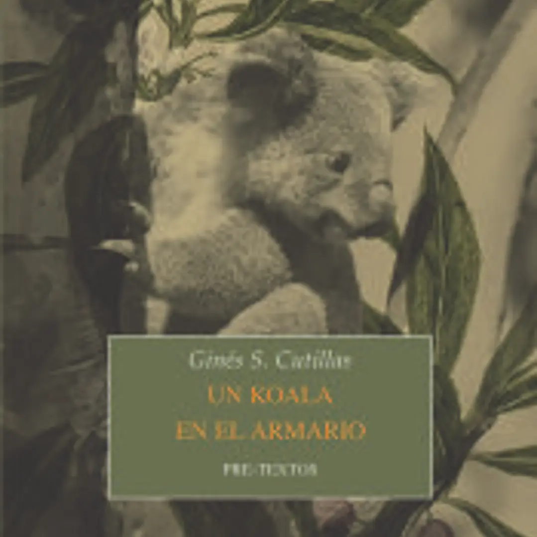 Un koala en el armario 1
