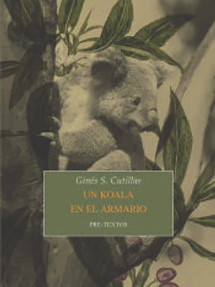 Un koala en el armario