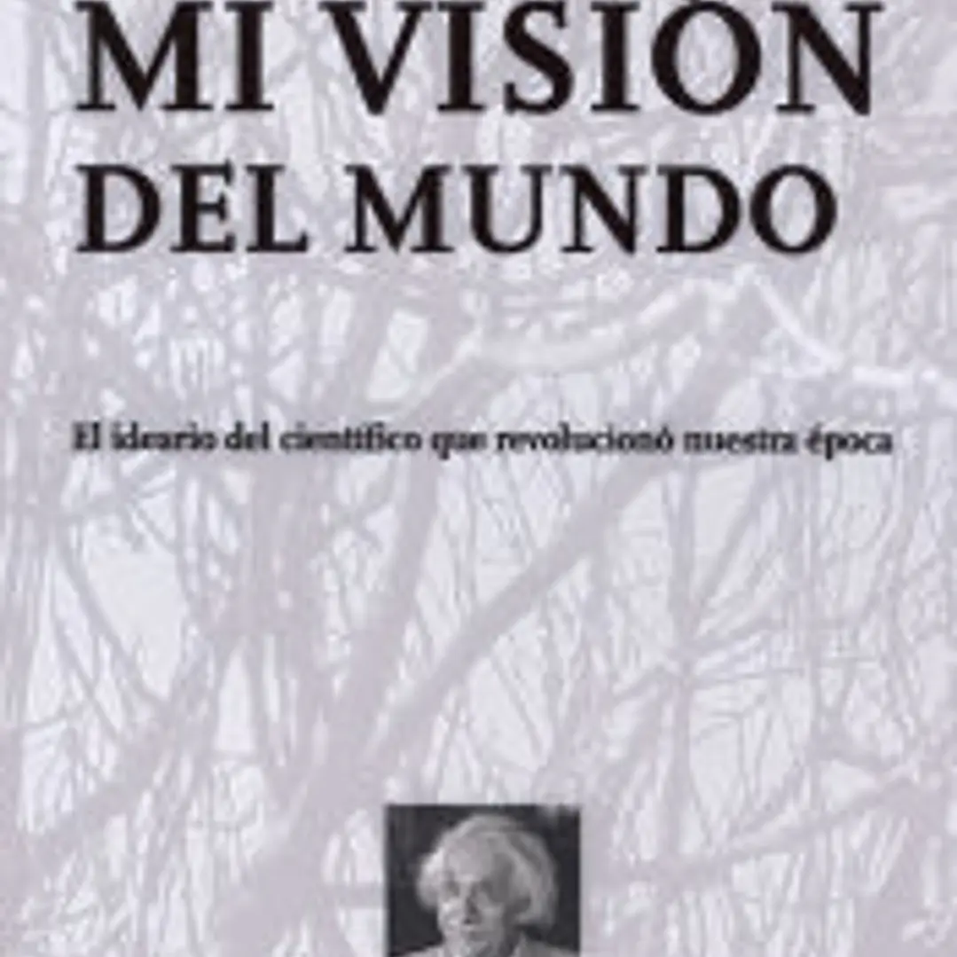 Mi visión del mundo 1