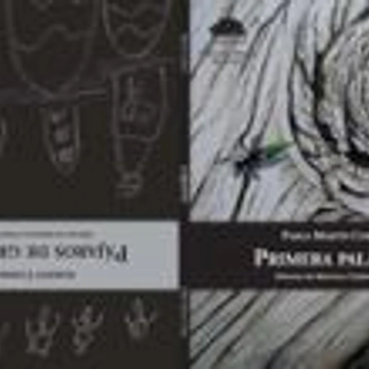 Pájaros de granito ; Primera palabra 1