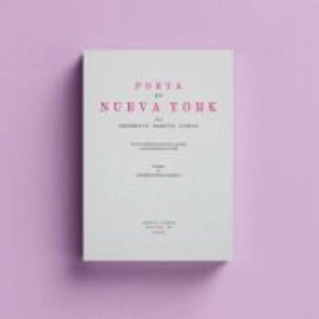 Poeta en Nueva York 1
