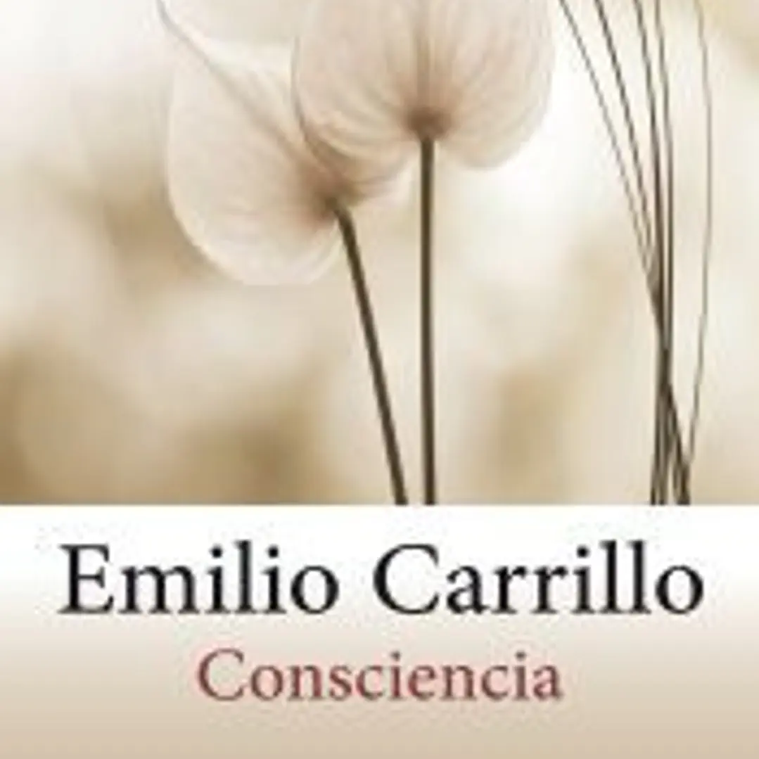 Consciencia 1