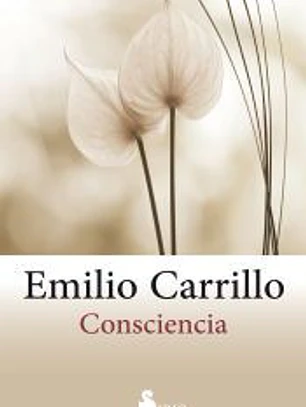 Consciencia