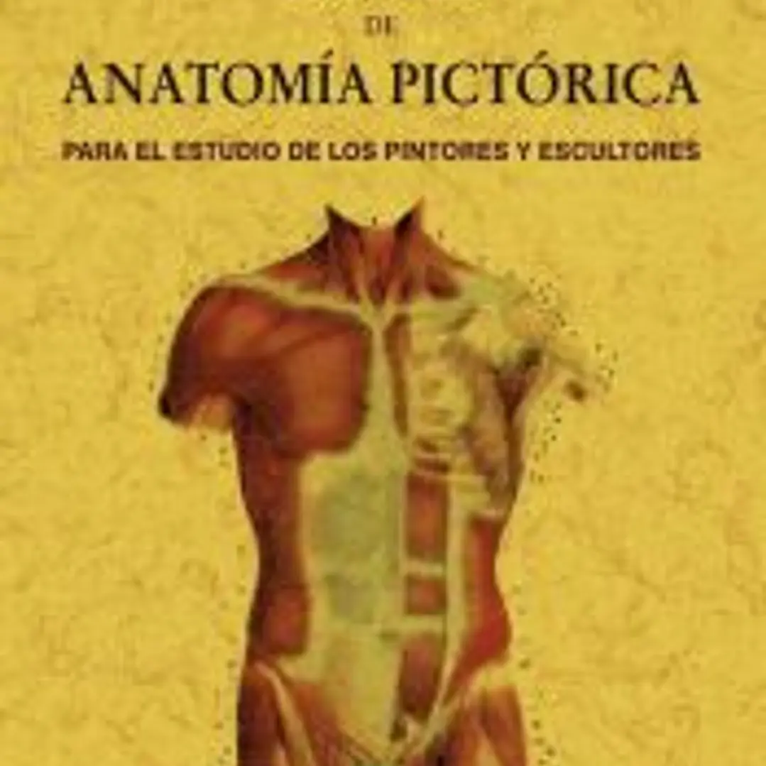 Tratado de anatomía pictórica 1